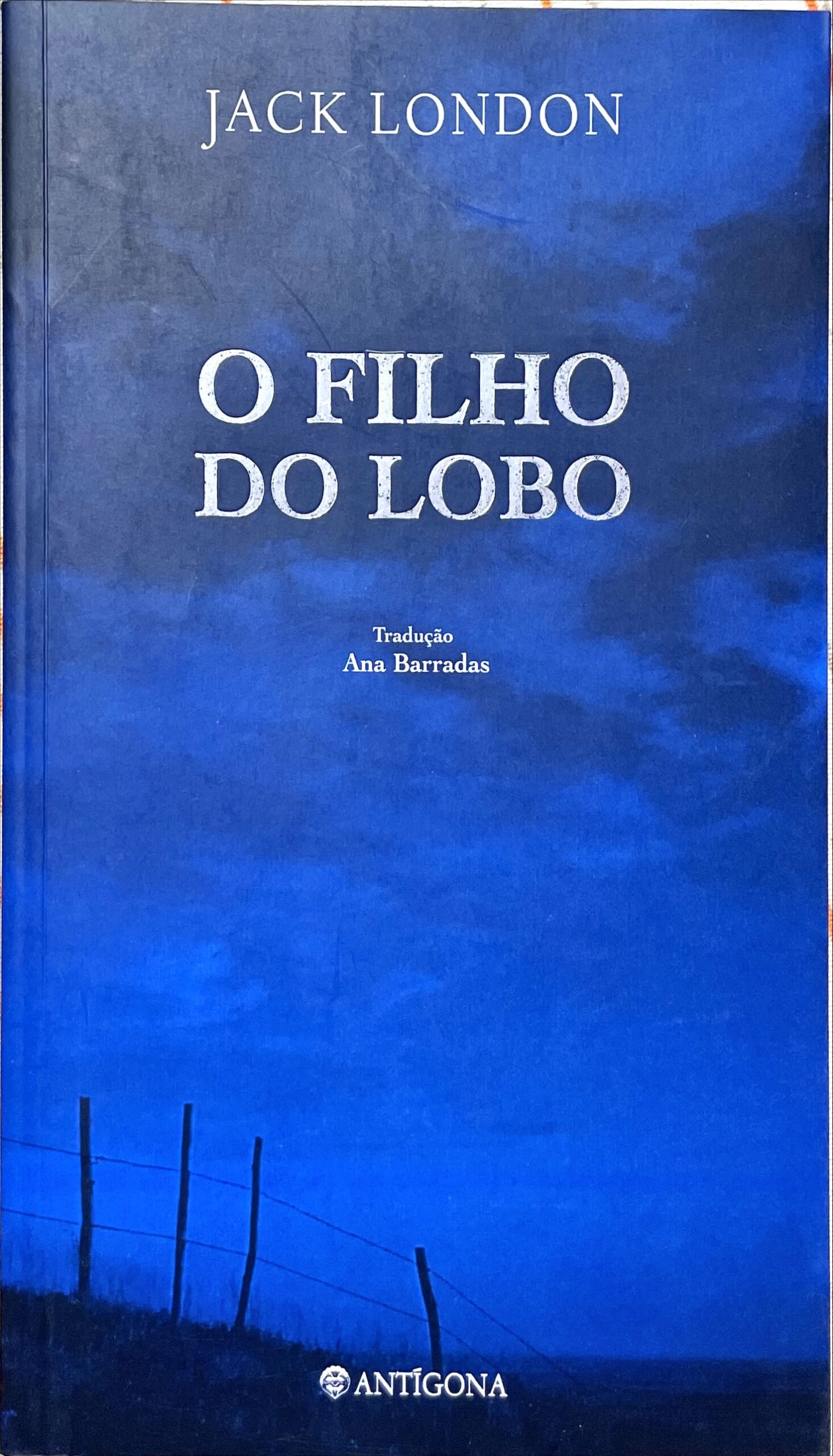 O filho do lobo